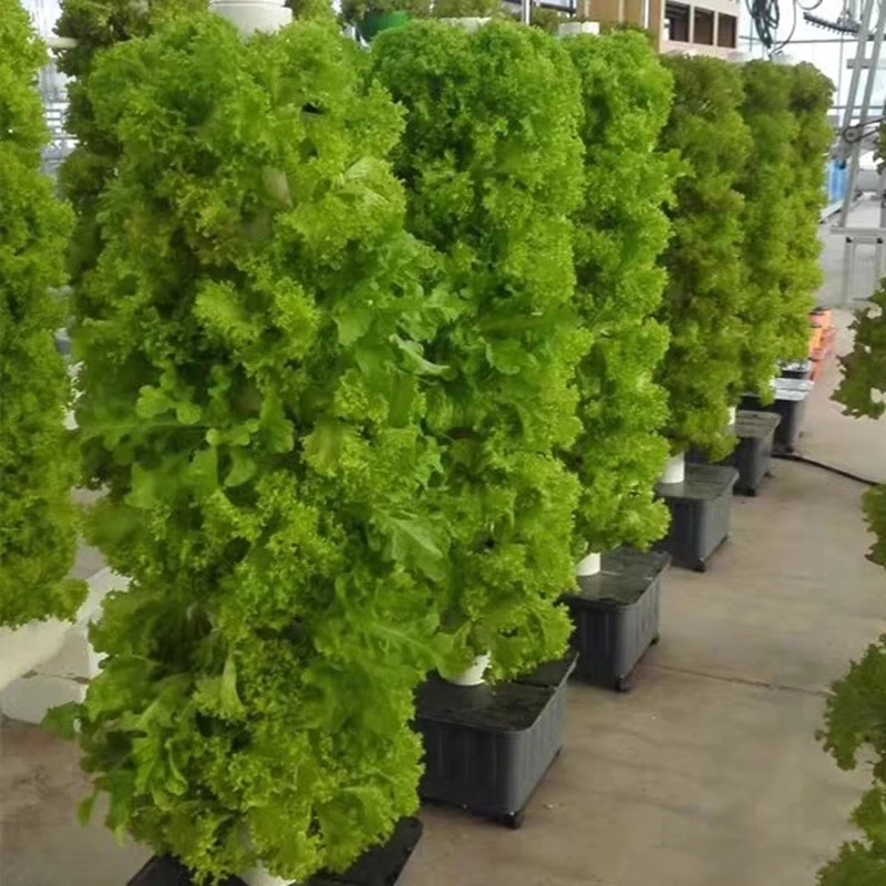 Hydroponic Farming Agriculture - Vertical Hydroponic Growing System Family Farm