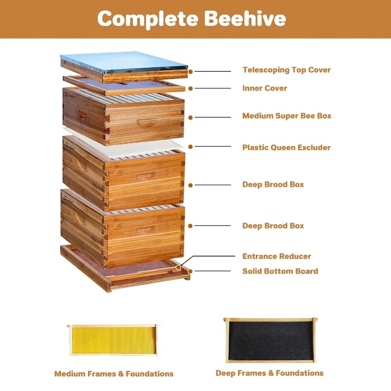 10-Frame Complete Beehive Kit, - Beehive Frame Wax 评论和价格