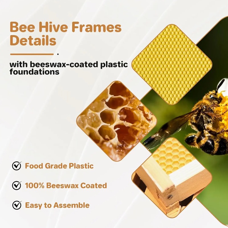 10-Frame Complete Beehive Kit, - Beehive Frame Wax 评论和价格