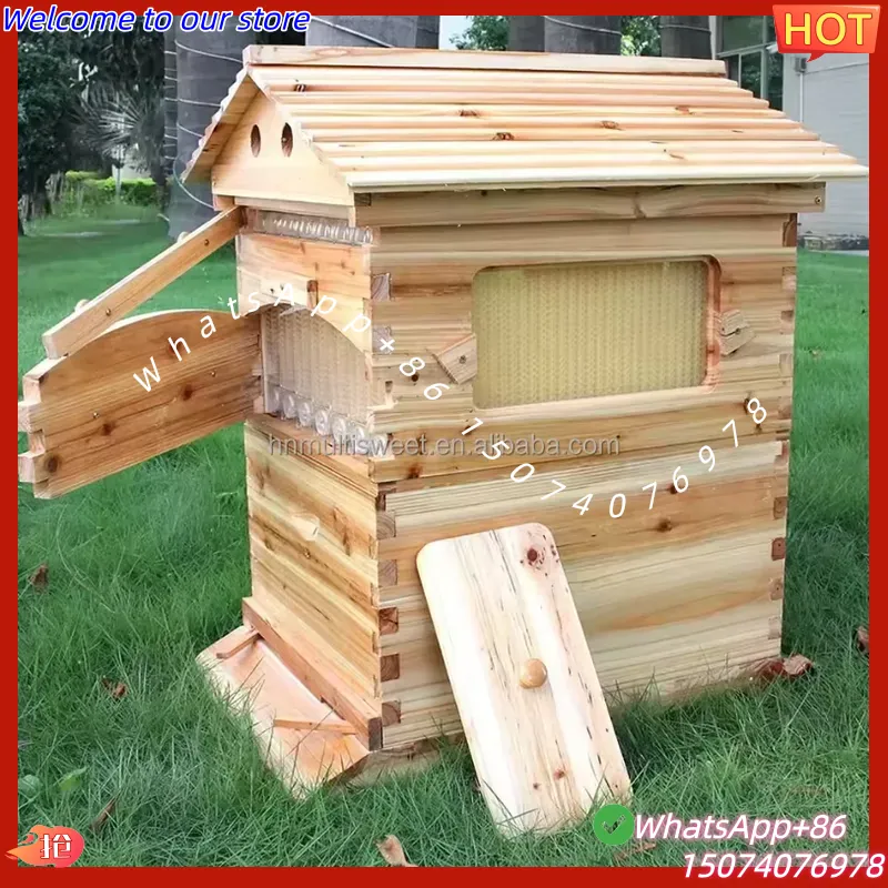2026 Chinese Wax-Coated China  - Beehive Frame Wax 评论和价格