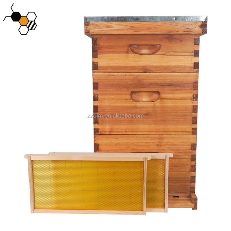 High-Quality 30-Frame Bee Hive - Beehive Frame Wax 评论和价格