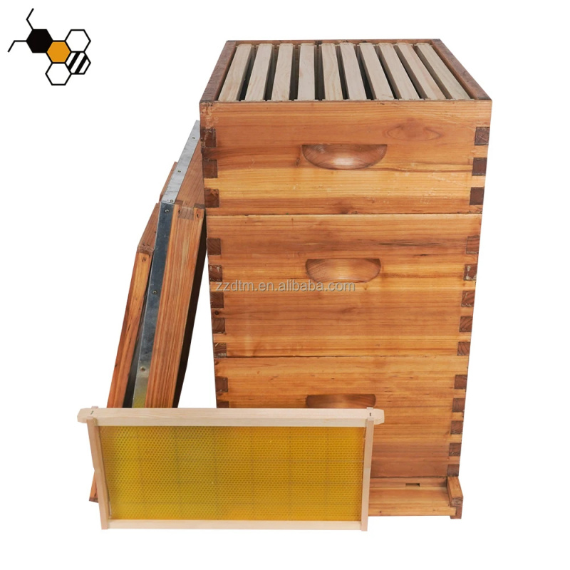 High-Quality 30-Frame Bee Hive - Beehive Frame Wax 评论和价格