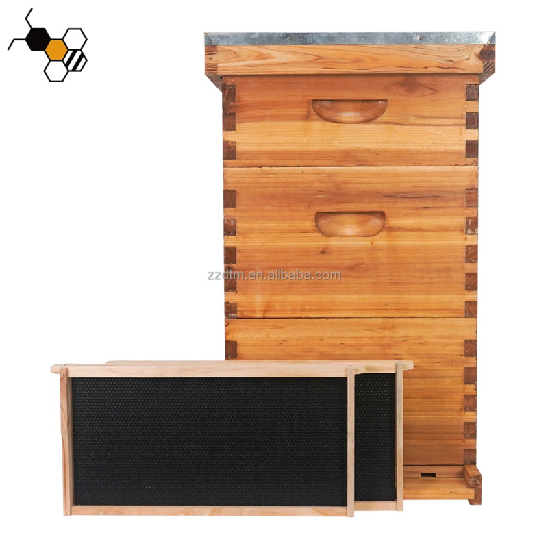 High-Quality 30-Frame Bee Hive - Beehive Frame Wax 评论和价格
