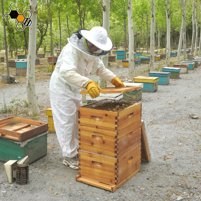 High-Quality 30-Frame Bee Hive - Beehive Frame Wax 评论和价格