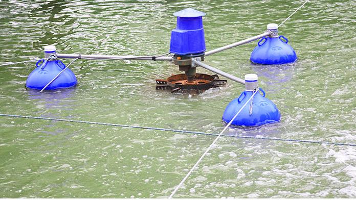 3HP Commercial Aquaculture Fis - Fish Pond Aerator 评论和价格