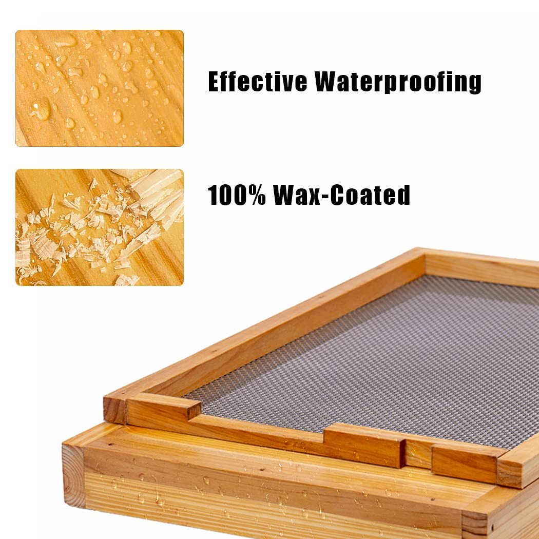 Ten-frame beehive special pump - Beehive Frame Wax 评论和价格