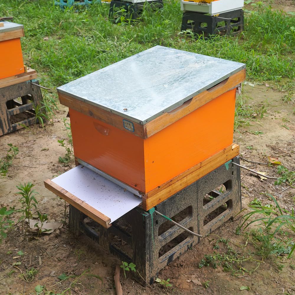 Ten-frame beehive special pump - Beehive Frame Wax 评论和价格