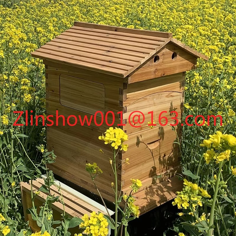 Factory Price Automatic Beehiv - Beehive Frame Wax 评论和价格