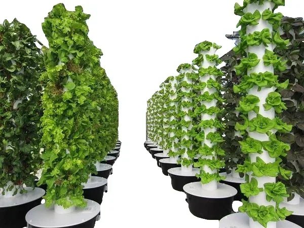 Agricultural greenhouses verti - Hydroponic Farming Agriculture 评论和价格