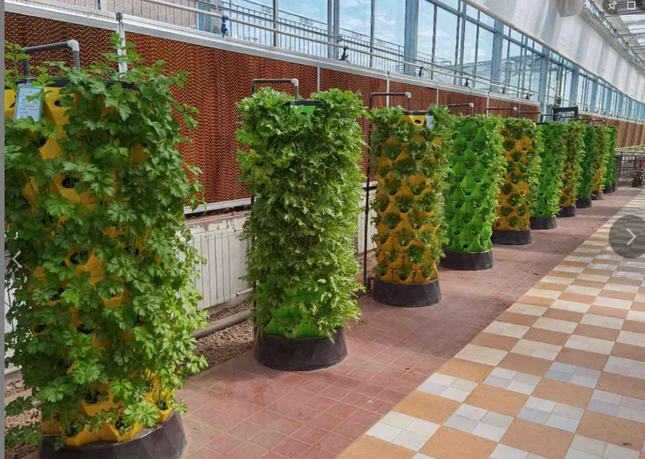 Agricultural greenhouses verti - Hydroponic Farming Agriculture 评论和价格