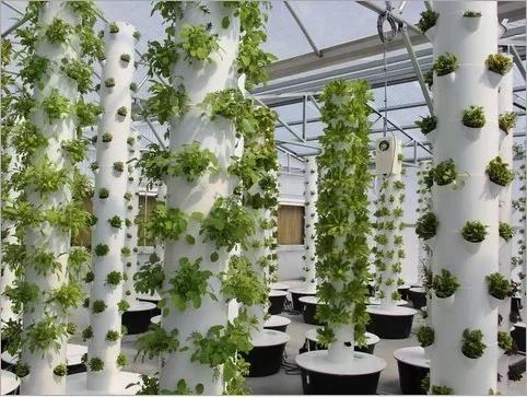 High quality agricultural home - Hydroponic Farming Agriculture 评论和价格