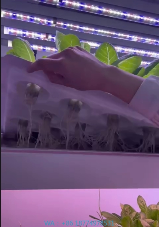 f Greenhouse Agricultural Equi - Hydroponic Farming Agriculture 评论和价格