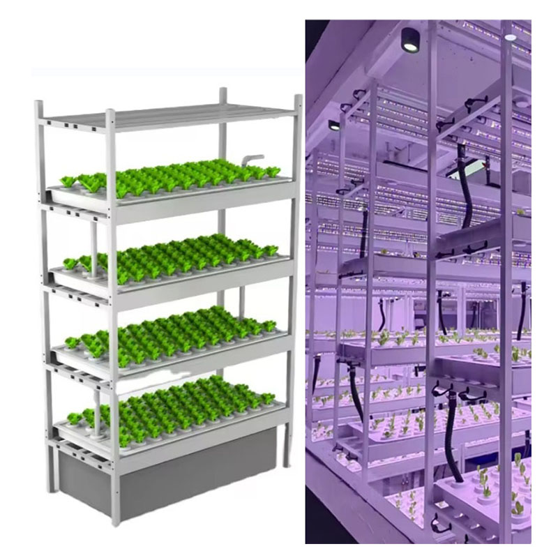 f Greenhouse Agricultural Equi - Hydroponic Farming Agriculture 评论和价格