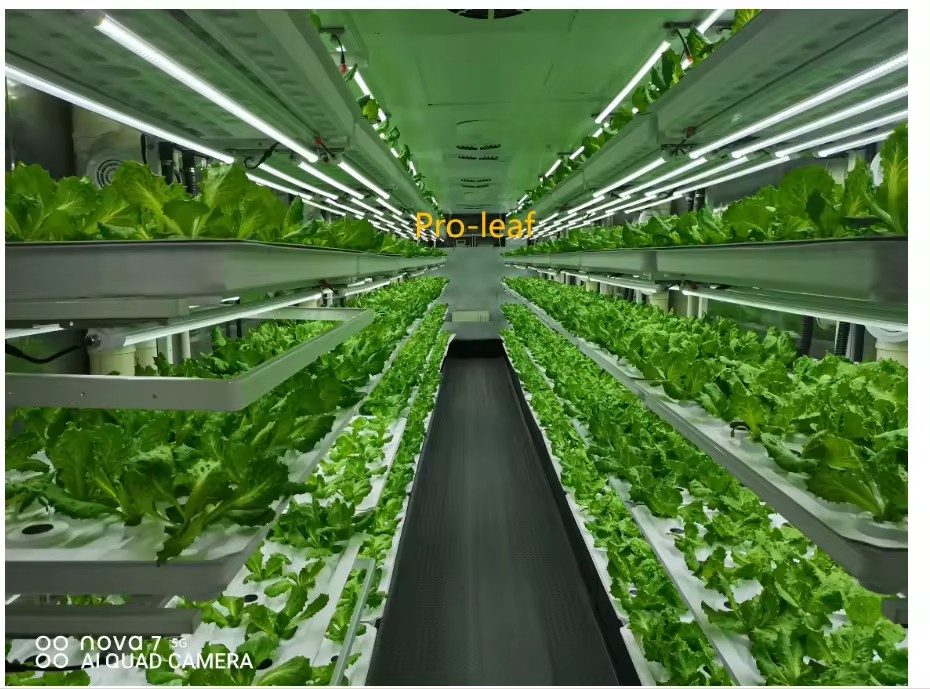 f Greenhouse Agricultural Equi - Hydroponic Farming Agriculture 评论和价格