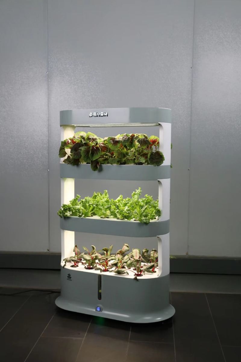 Factory Wholesale Unique Farm  - Hydroponic Farming Agriculture 评论和价格