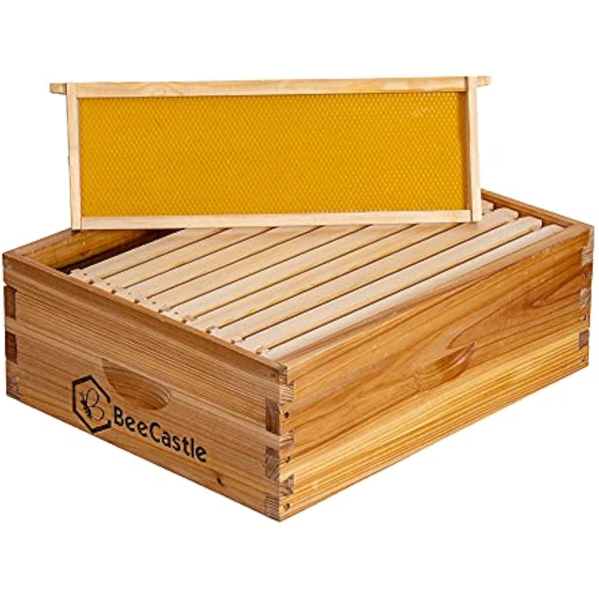 10 Frame Medium Super Bee Hive - Beehive Frame Wax 评论和价格