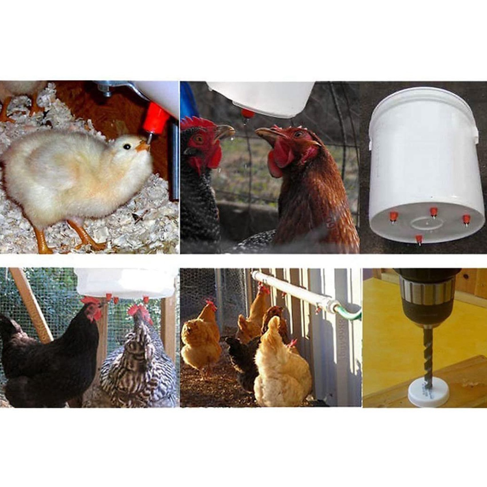 150Pcs Poultry Chicken Nipple  - Chicken Nipple Drinker 评论和价格
