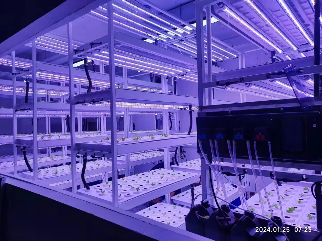 Small Vertical Hydroponic Towe - Hydroponic Farming Agriculture 评论和价格