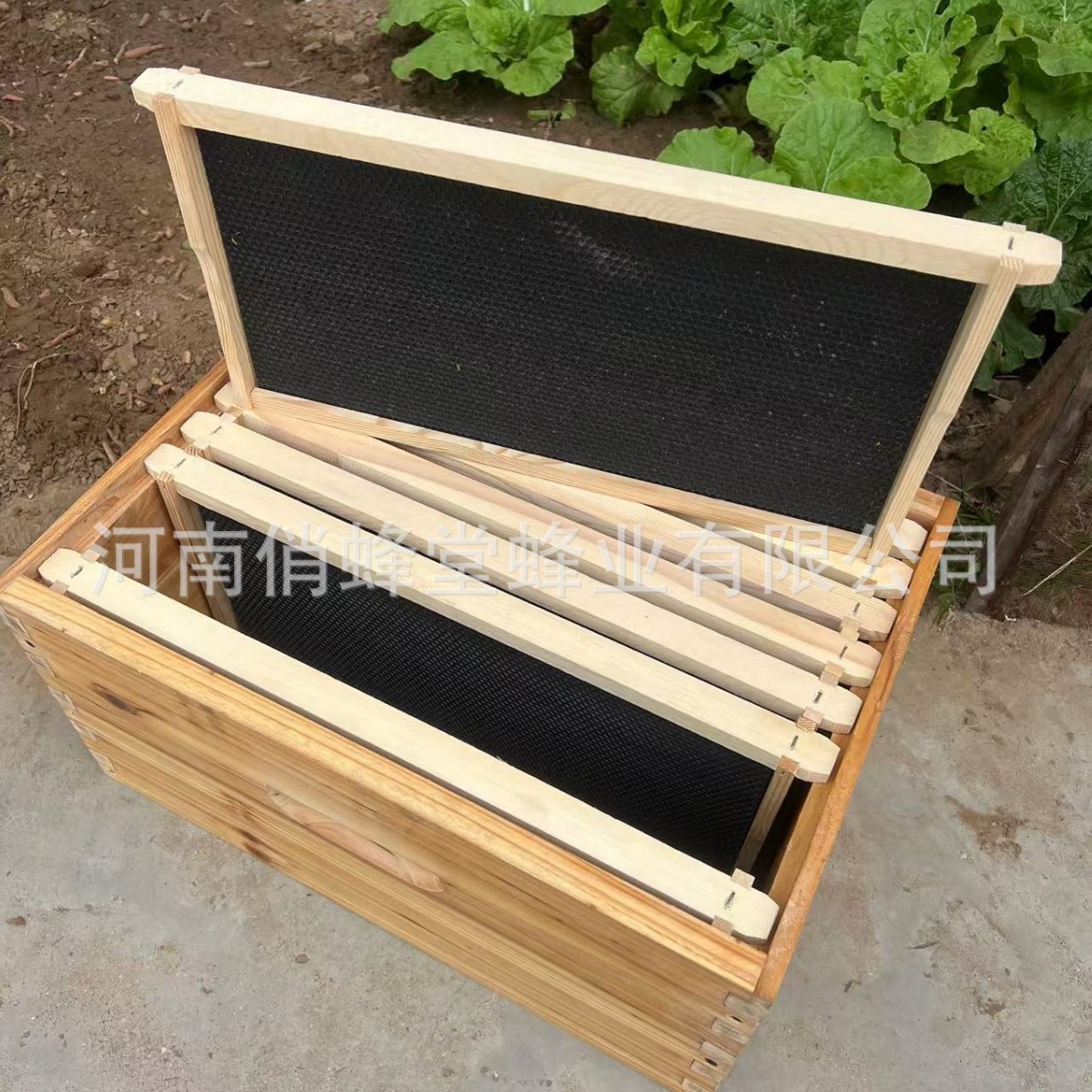 Beekeeping Tools First Class S - Beehive Frame Wax 评论和价格