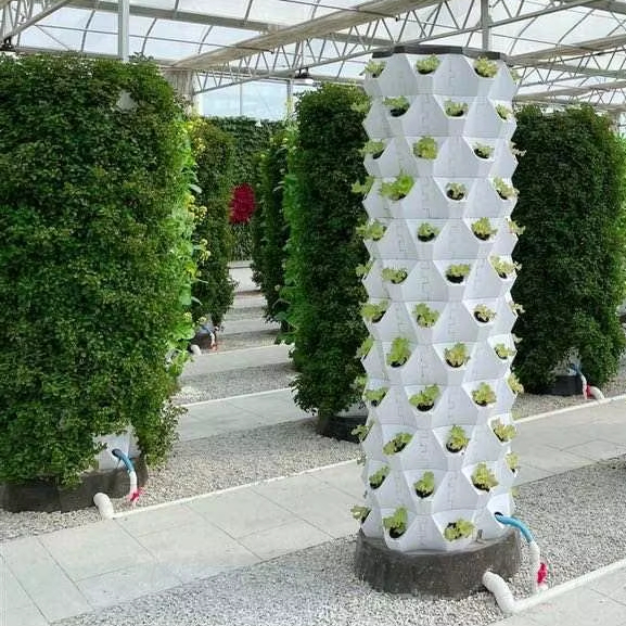Upgraded Indoor Farming Outdoo - Hydroponic Farming Agriculture 评论和价格