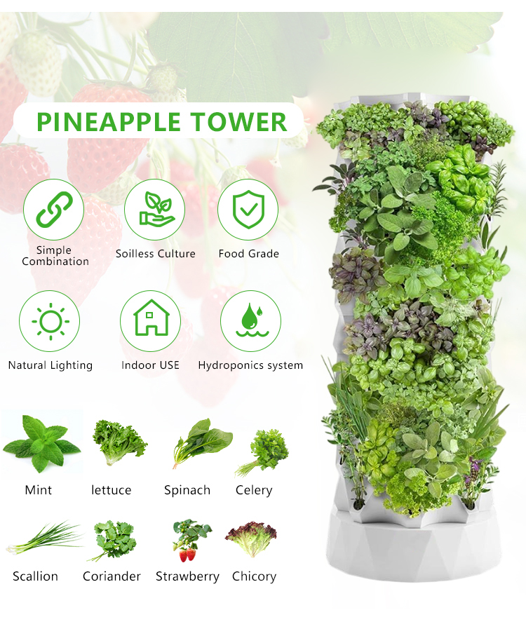 Upgraded Indoor Farming Outdoo - Hydroponic Farming Agriculture 评论和价格