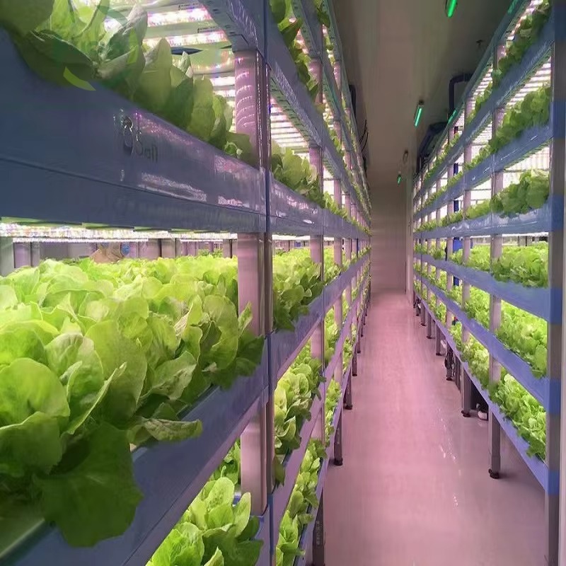 Custom Agricultural Greenhouse - Hydroponic Farming Agriculture 评论和价格