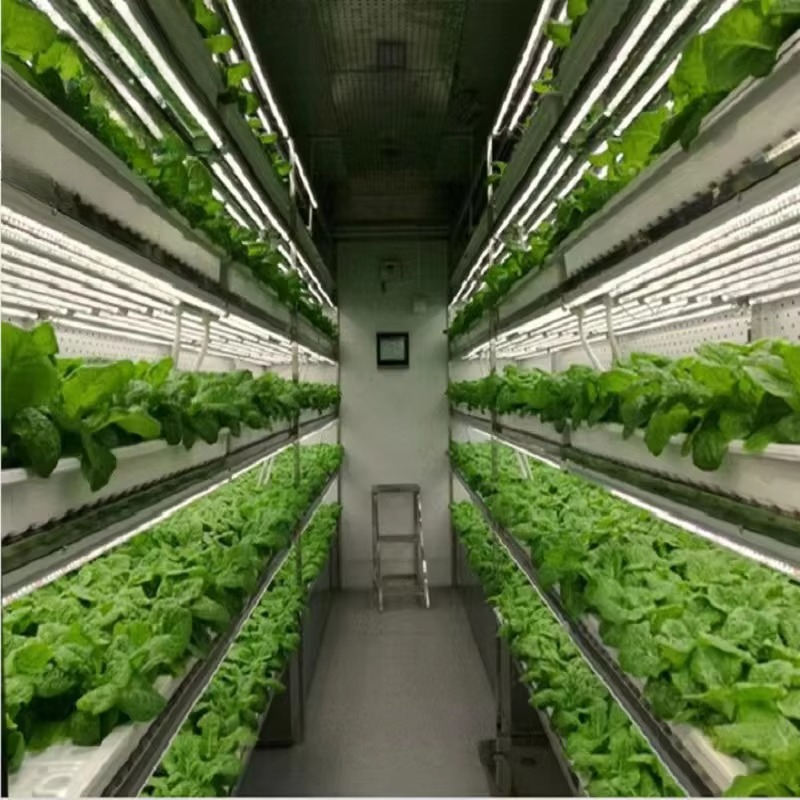 Custom Agricultural Greenhouse - Hydroponic Farming Agriculture 评论和价格