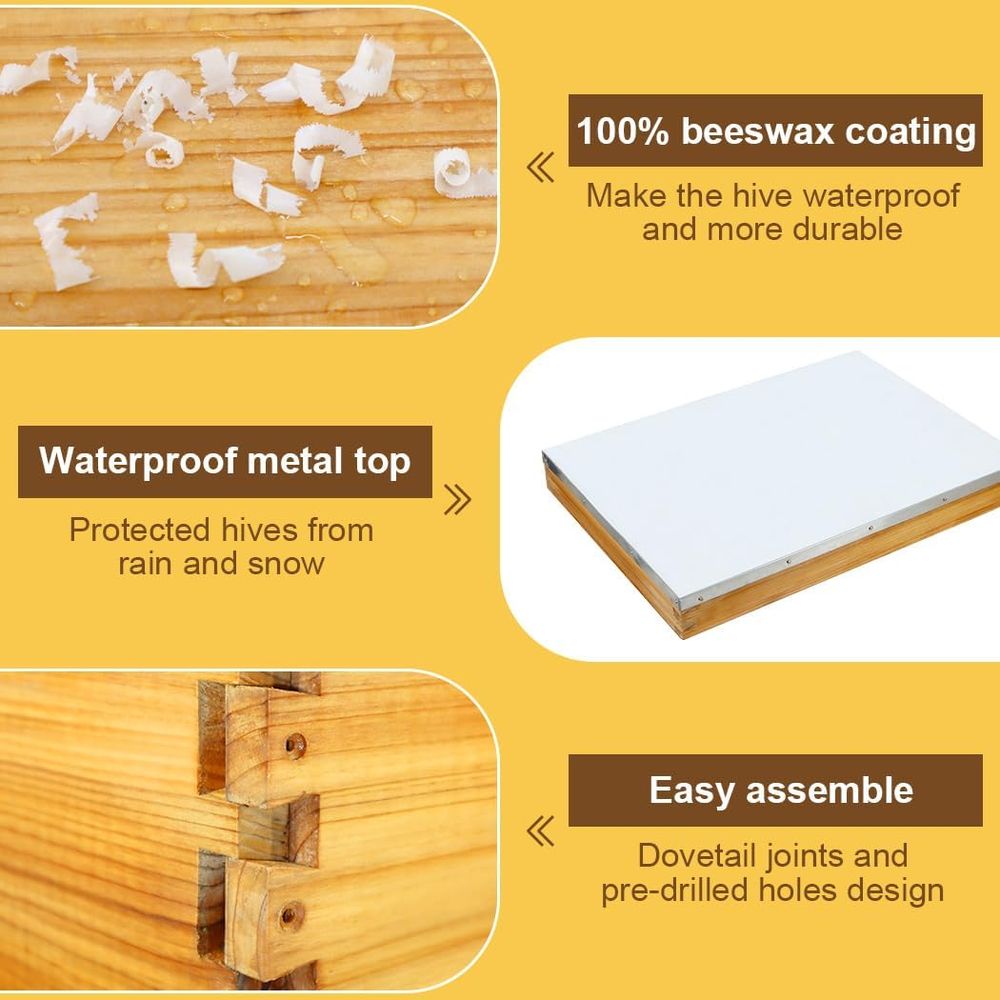 10-Frame Beehive Kit with Waxe - Beehive Frame Wax 评论和价格