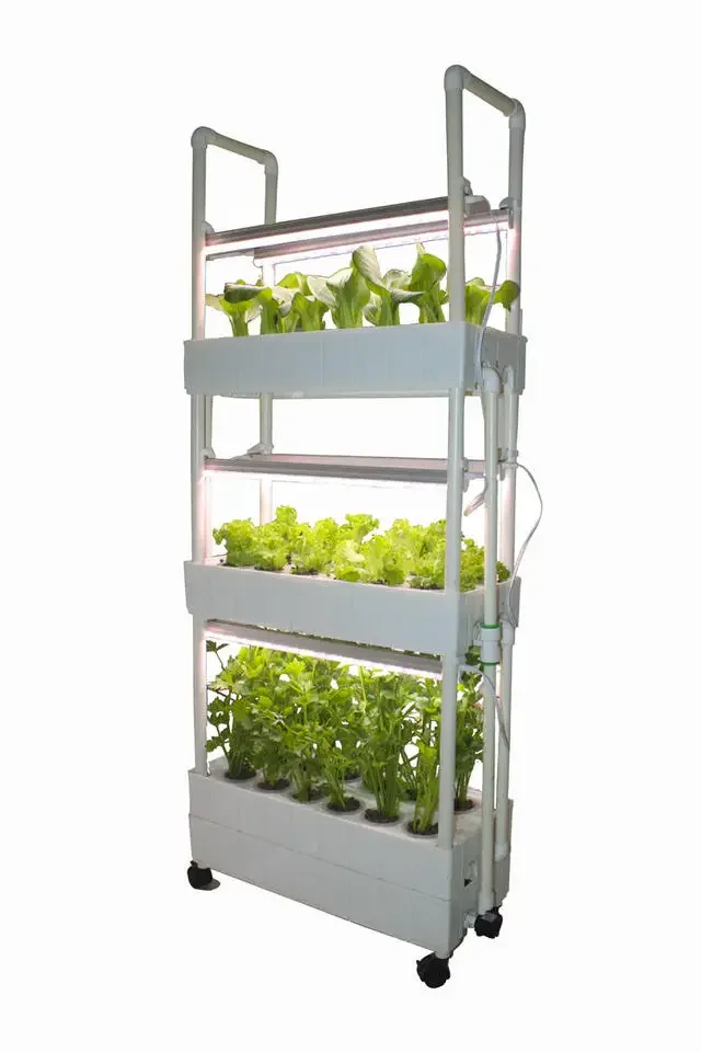 Customization Agriculture hydr - Hydroponic Farming Agriculture 评论和价格