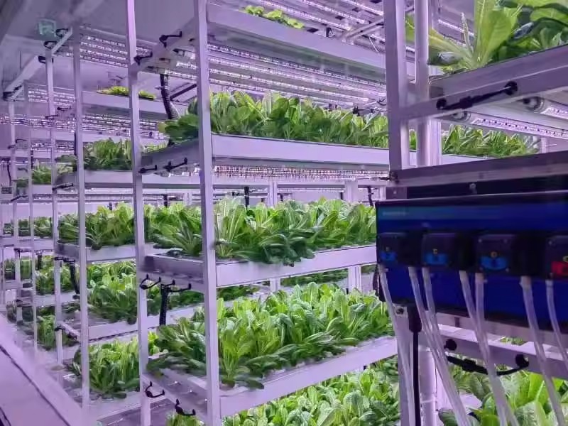 Vertical Farm Hydroponic Tower - Hydroponic Farming Agriculture 评论和价格