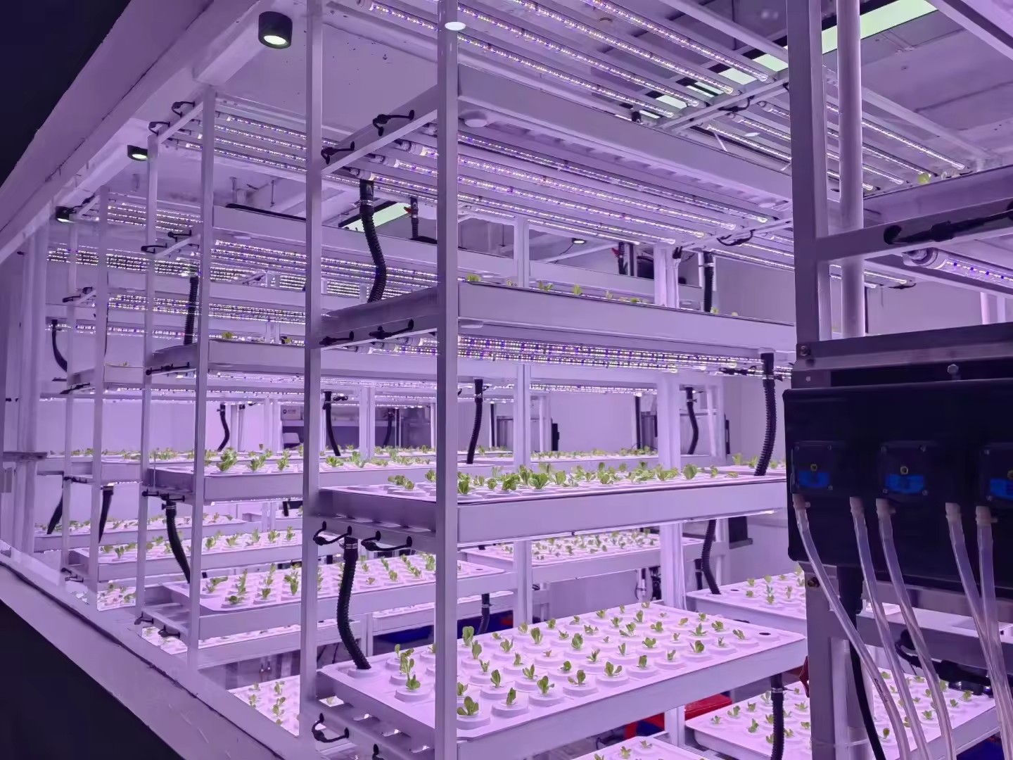 Vertical Farm Hydroponic Tower - Hydroponic Farming Agriculture 评论和价格