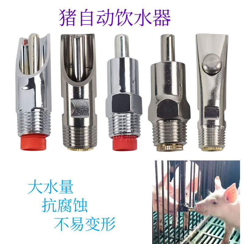 10pcs High Quality Stainless S - Chicken Nipple Drinker 评论和价格
