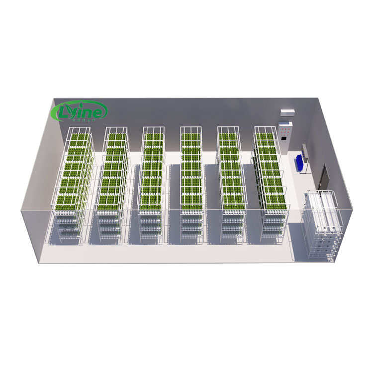 Agricultural Greenhouses Lettu - Hydroponic Farming Agriculture 评论和价格