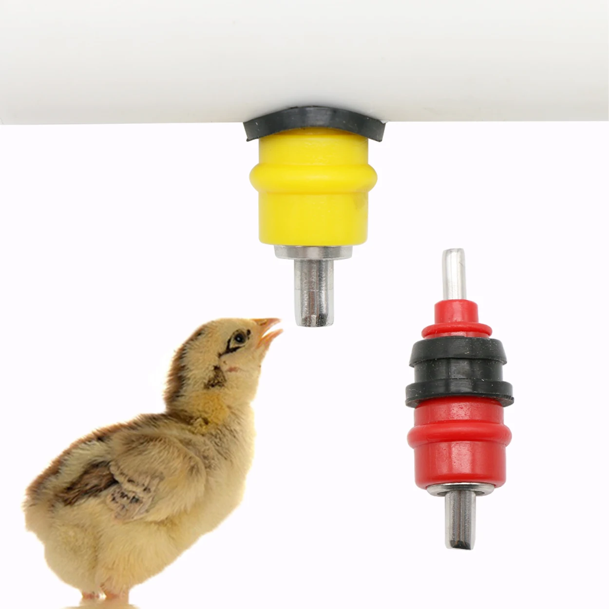 10Pcs Quail Pigeon Bird Watere - Chicken Nipple Drinker 评论和价格